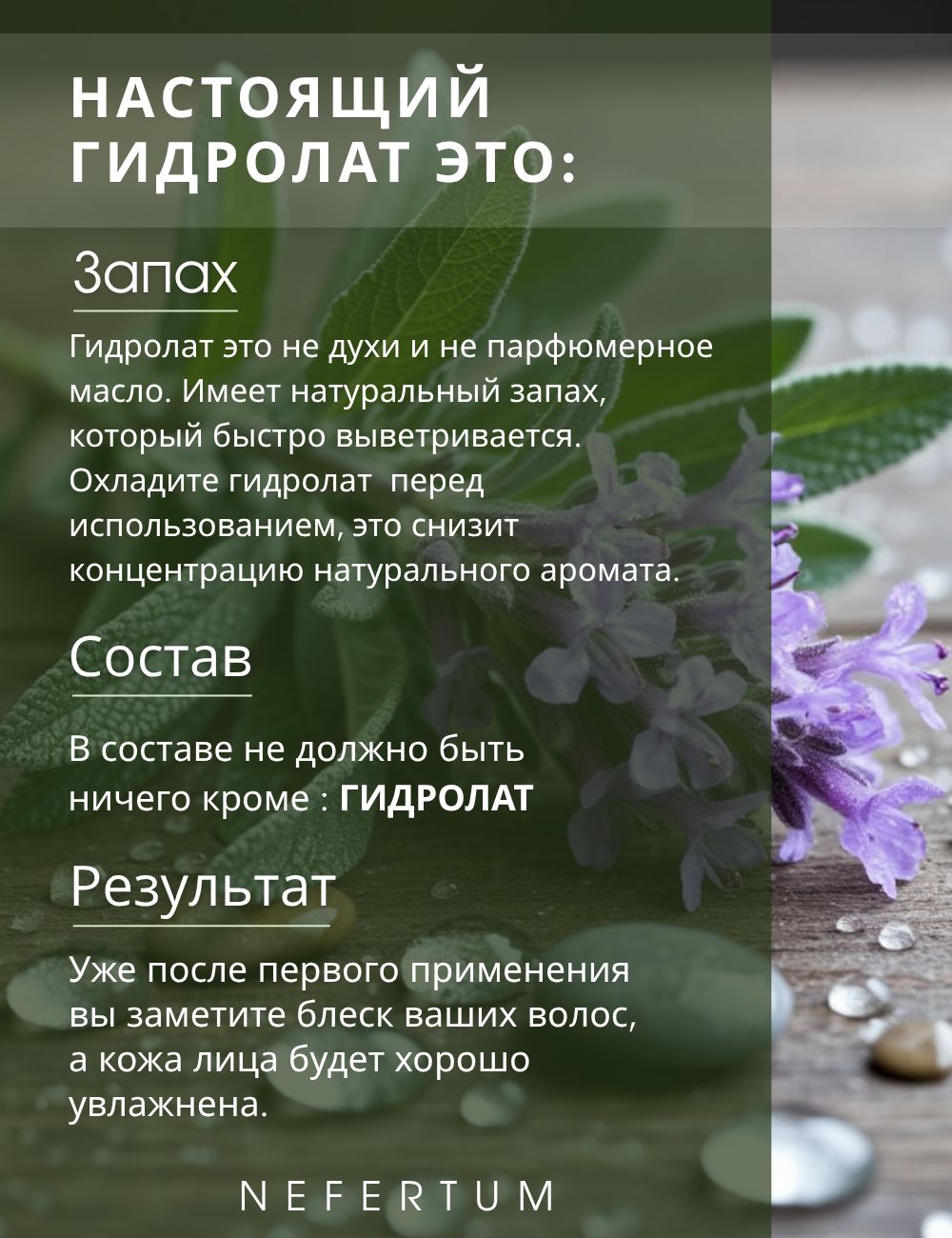 Ozon Nefertum / M444 V6 photo 8