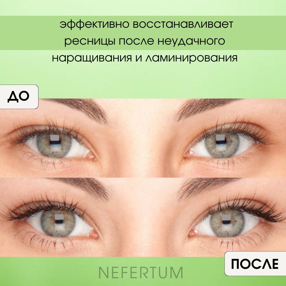 Ozon Nefertum / M444 V6 photo 6