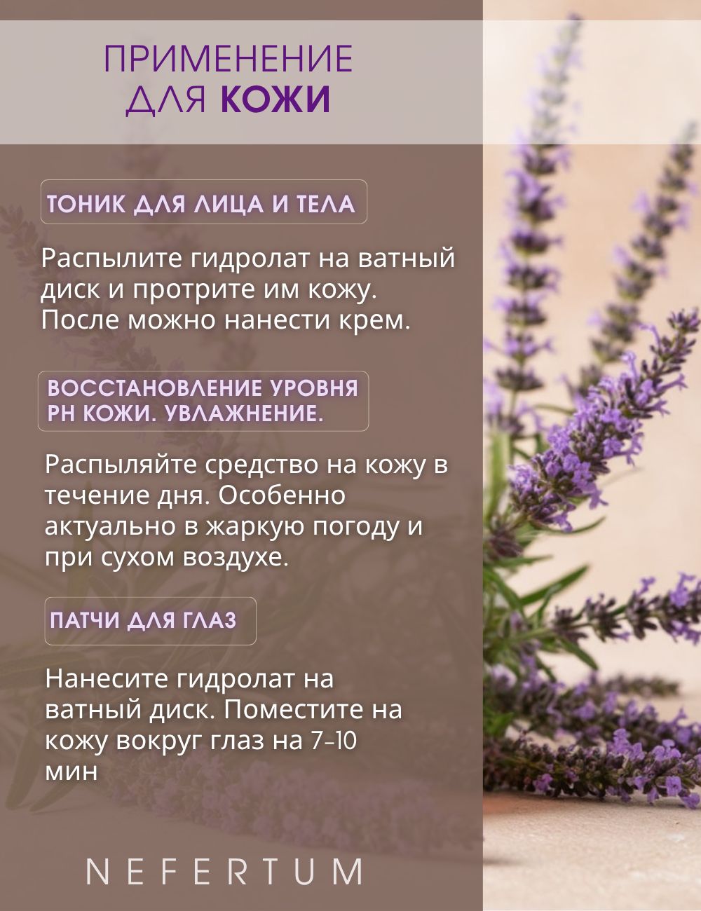 Ozon Nefertum / M444 V6 photo 6