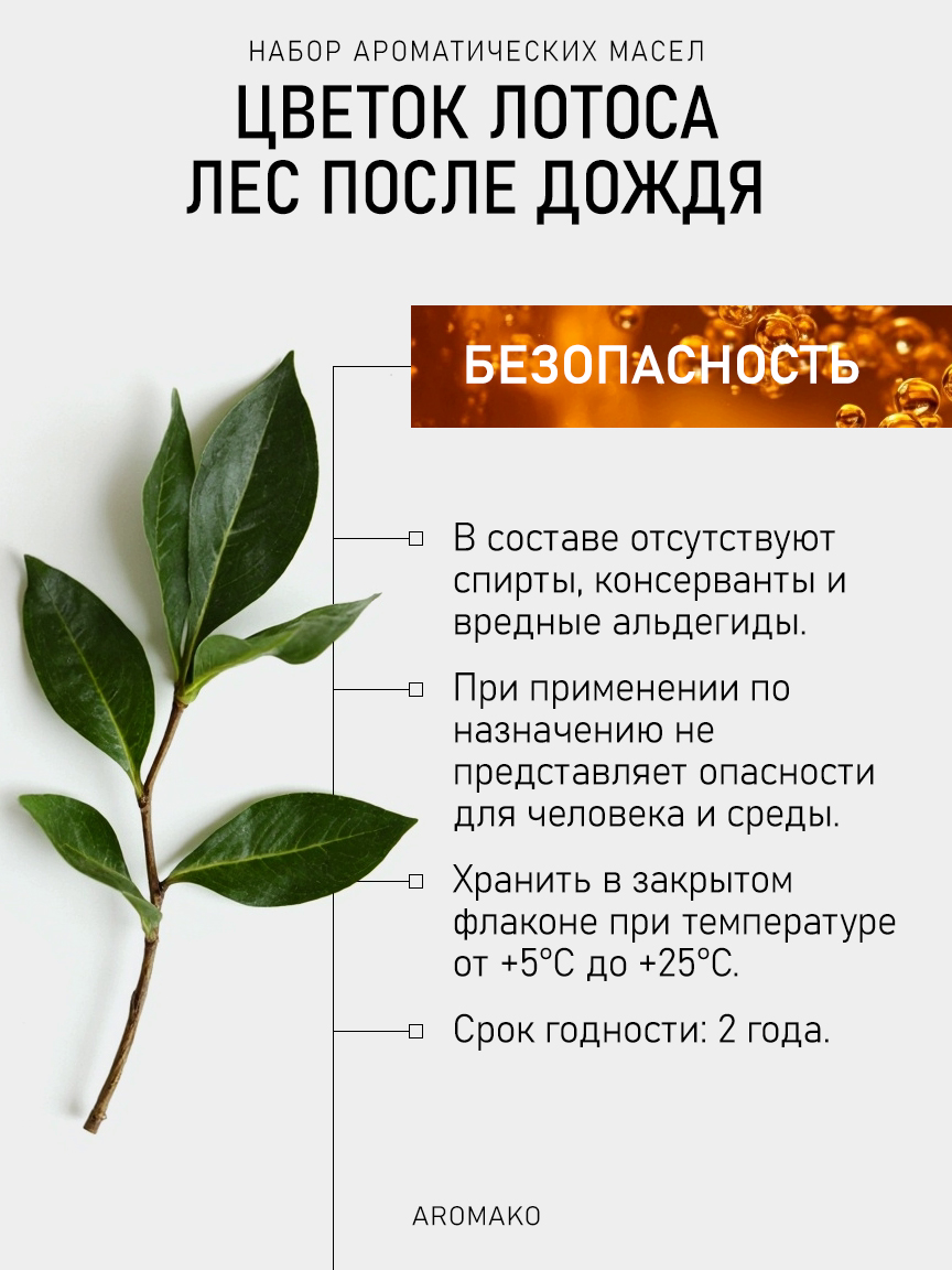 Подарочный набор аромамасел AromaKo «Лес После Дождя», 2 шт. по 20 мл