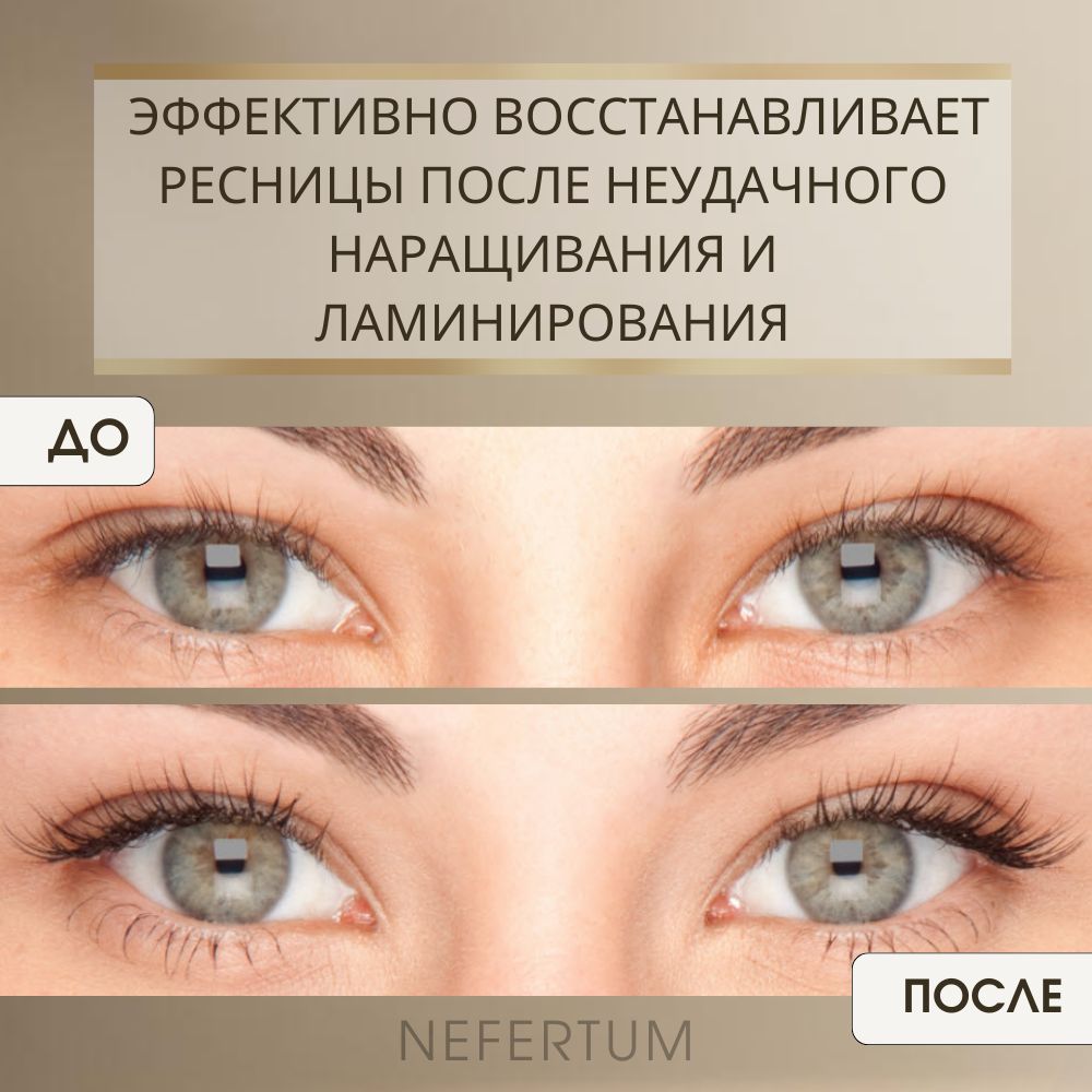 Ozon Nefertum / M444 V6 photo 7