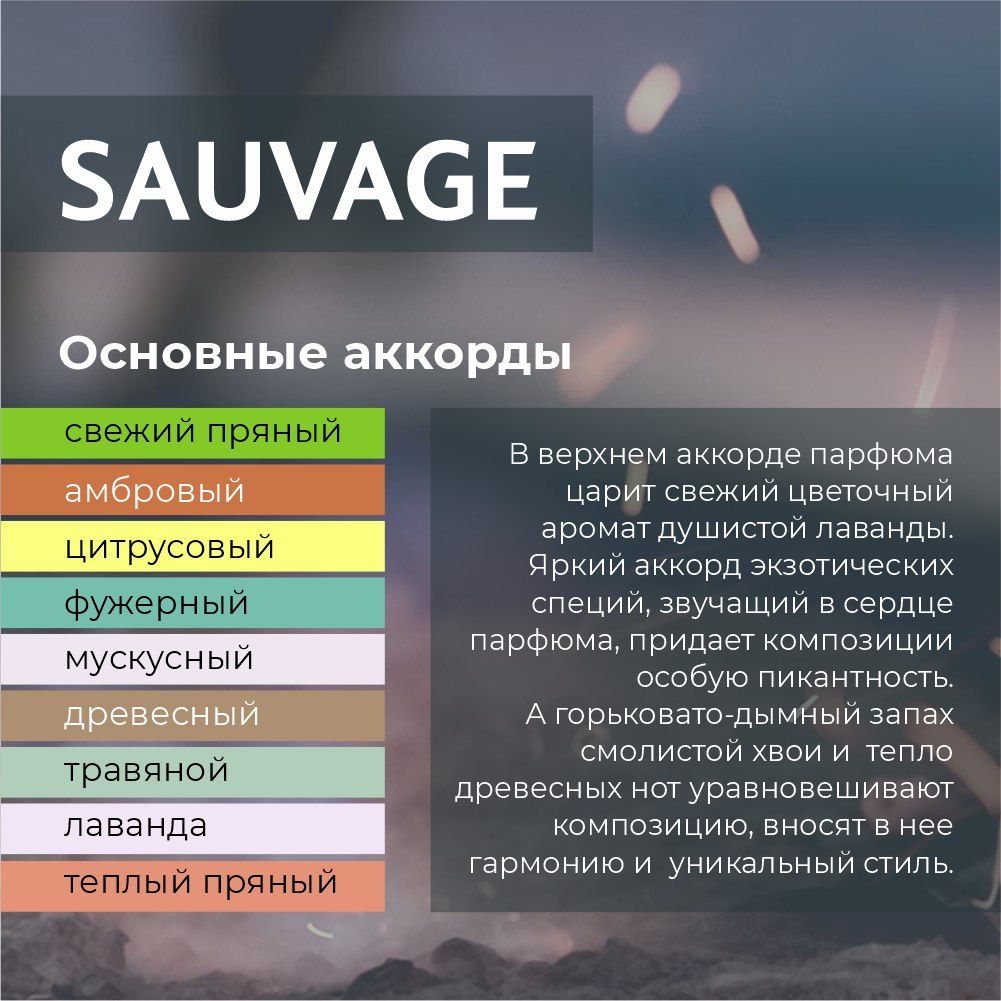 Автомобильный спрей «Sauvage Elixir», 50 мл