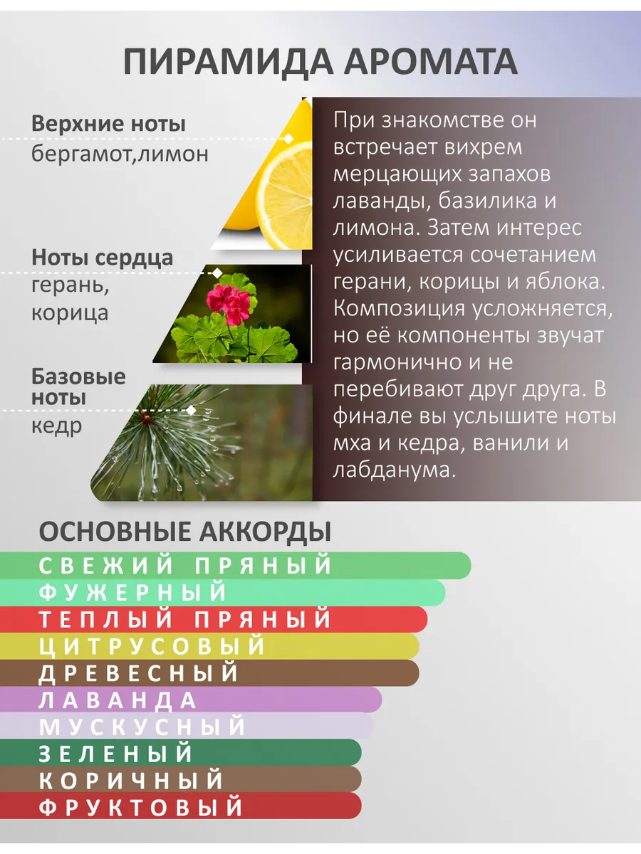 Масляные духи — по мотивам Shaik Opulent Classic 77, 3 мл